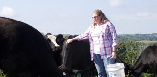 Women in agriculture awardee applies NRCS knowledge to family farm A woman stands with several beef cattle after pouring out some grain for them in a pasture on her family farm, in West Virginia.