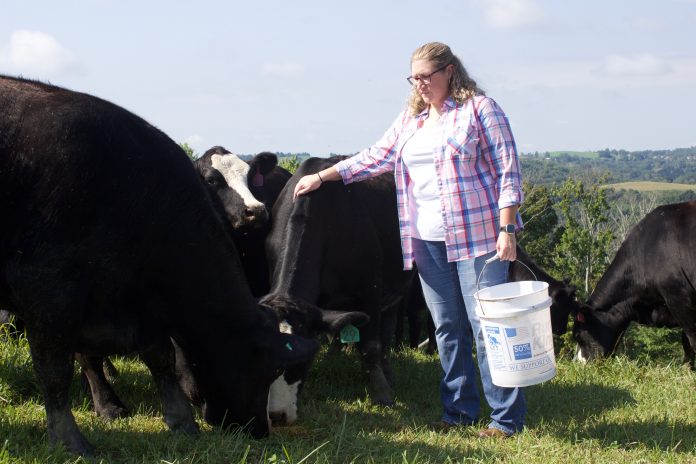 katie_fitzsimmons_1 A woman stands with several beef cattle after pouring out some grain for them in a pasture on her family farm, in West Virginia.