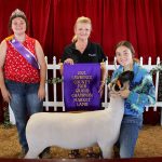 2021 Lawrence County Fair sale Grand Champion Lamb