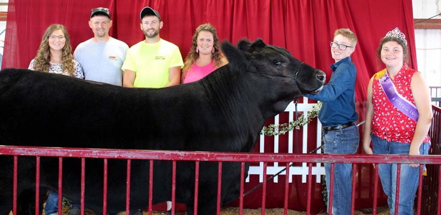 Reserve Champion Market Beef