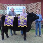 2021 Medina County Fair sale Grand Champion Steer