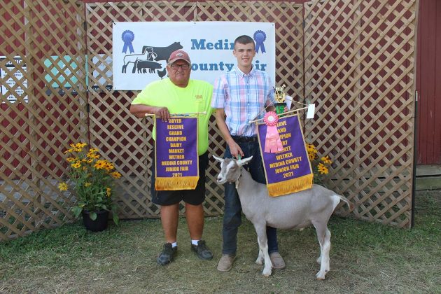 Reserve Champion Dairy Goat