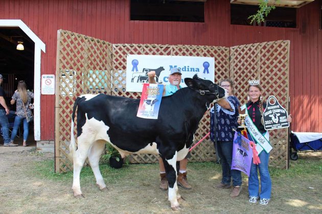 Reserve Champion Heavy Dairy Beef Feeder