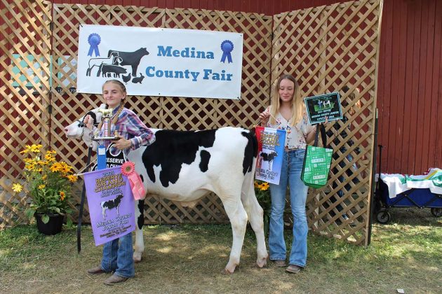 Reserve Champion Light Dairy Beef Feeder
