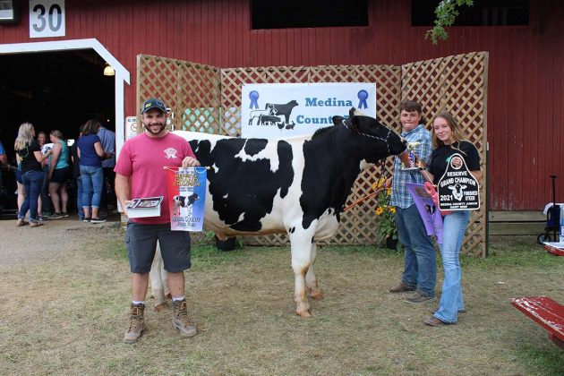 Reserve Champion Dairy Beef Steer