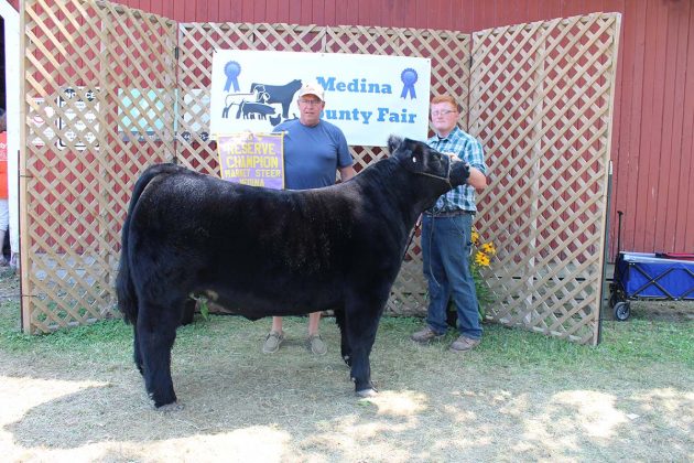 Reserve Champion Steer