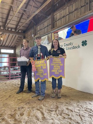 Reserve Champion Carcass Hog
