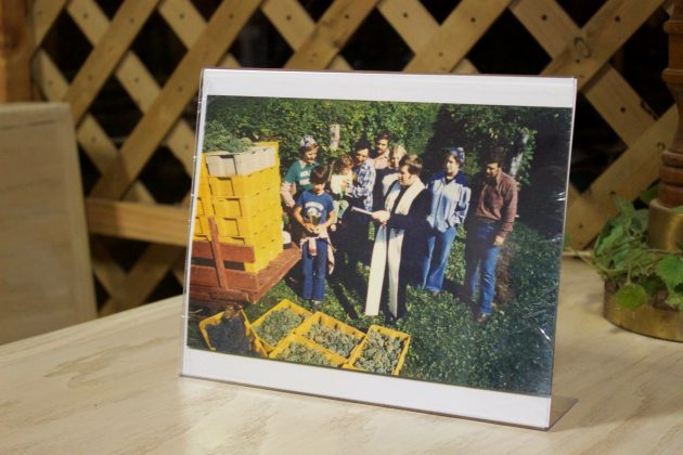 A photo from when the O'Leary family first bought Molly's Vineyard, in Vermilion, Ohio.