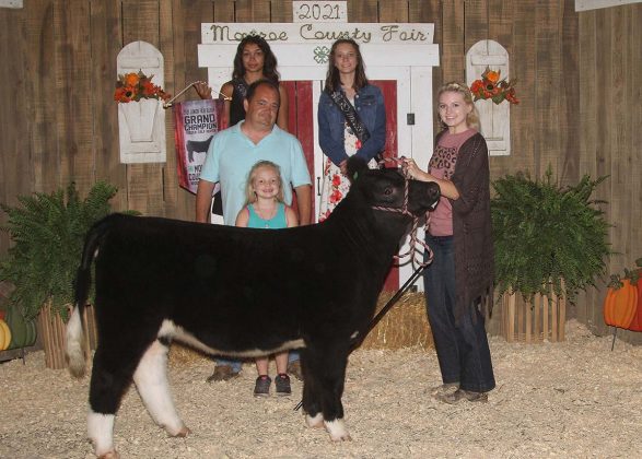 Grand Champion Feeder Calf Heifer