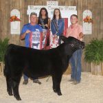 2021 Monroe County Fair sale Grand Champion Feeder Calf Steer
