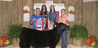 Grand Champion Feeder Calf Steer