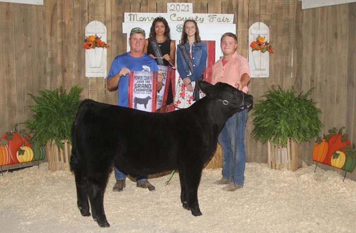 Grand Champion Feeder Calf Steer