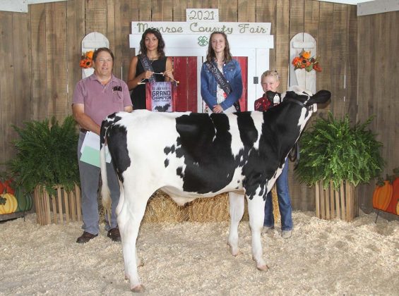 Grand Champion Dairy Feeder