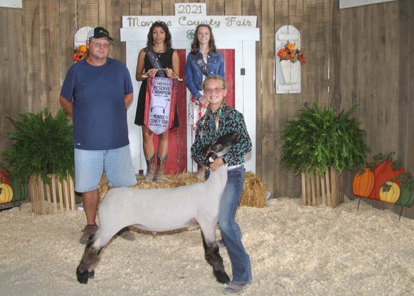 Reserve Champion Lamb