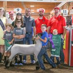 2021 Portage County Randolph Fair sale Grand Champion Lamb