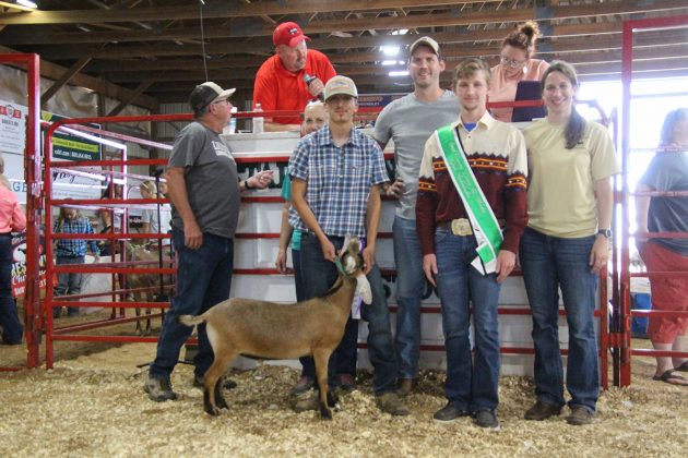 Grand Champion Dairy Market Goat