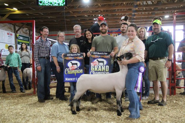 Grand Champion Market Lamb