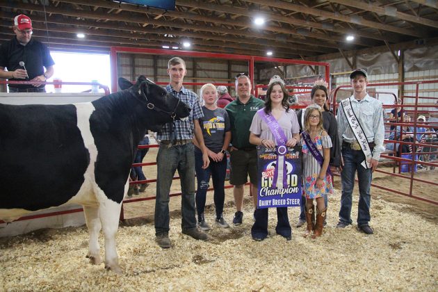 Grand Champion Dairy Steer
