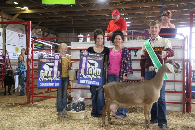 Grand Champion Dairy Goat Basket