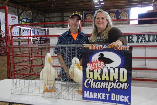 Grand Champion Ducks