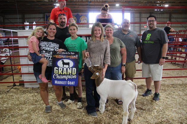 Grand Champion Meat Market Goat