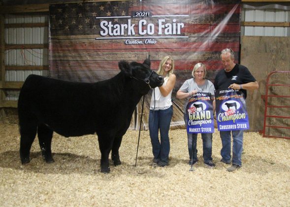 Grand Champion Market Steer