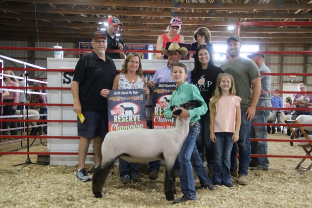 Reserve Champion Lamb