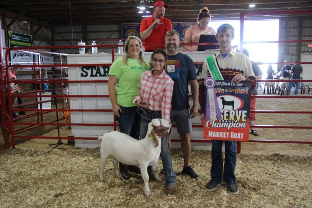 Reserve Champion Meat Market Goat