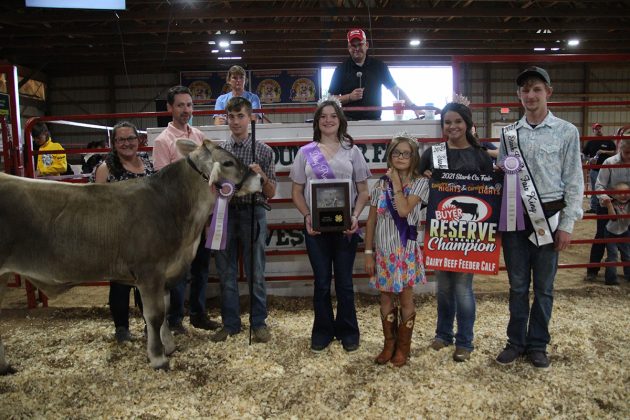Reserve Champion Dairy Beef Feeder