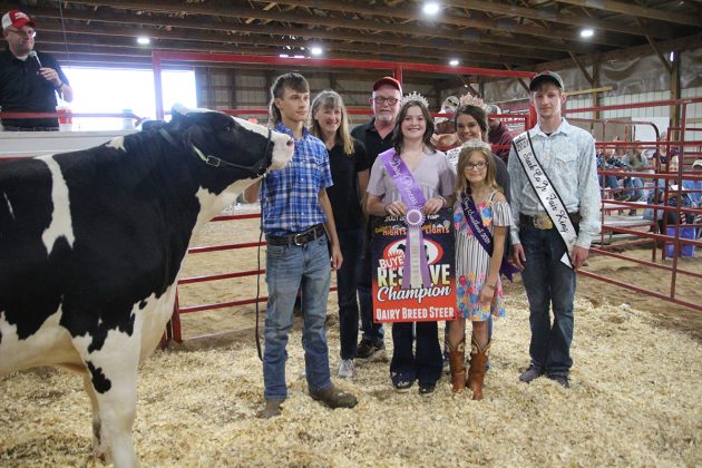 Reserve Champion Dairy Steer