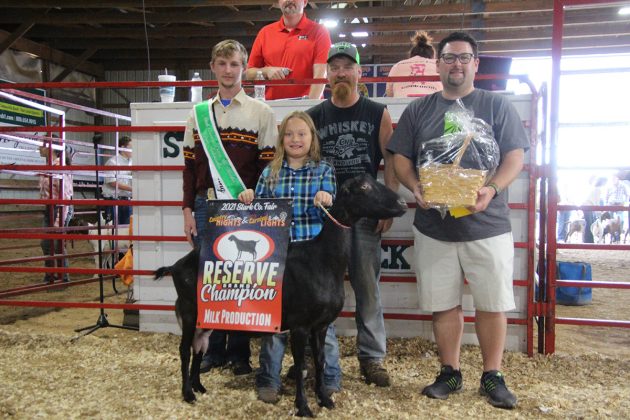 Reserve Champion Dairy Goat Basket