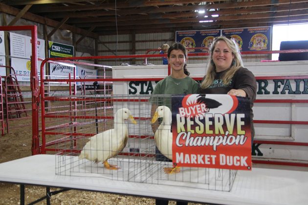 Reserve Champion Ducks