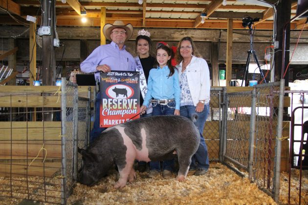 Reserve Champion Market Hog