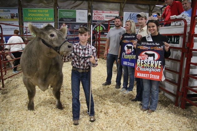 Reserve Champion Market Steer