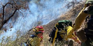 ODNR gives $549,000 to rural fire departments firefighters