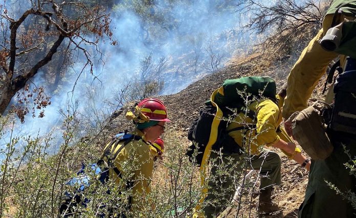 firefighters firefighters