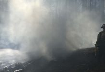 Fire in the wildlands wildfire