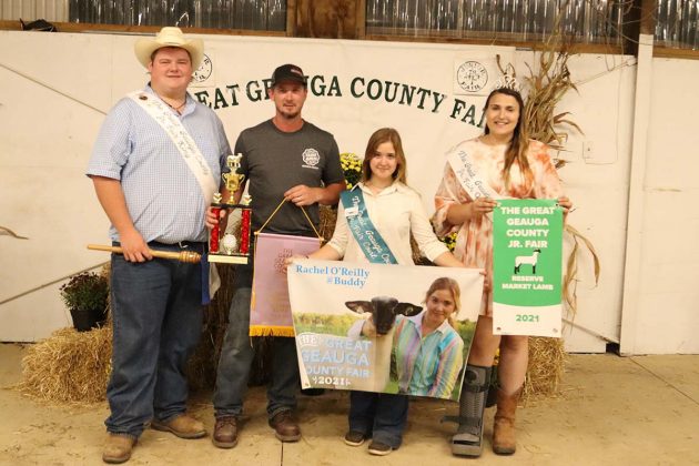 Reserve Champion Lamb