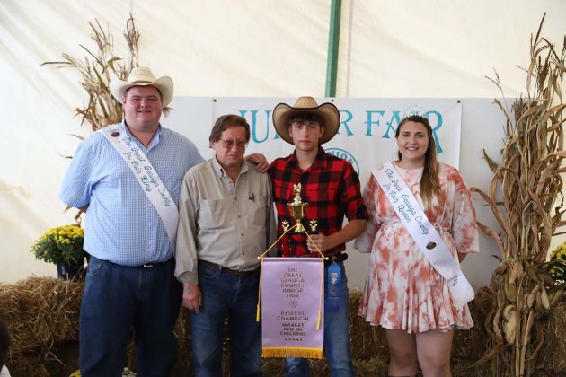 Reserve Champion Chickens