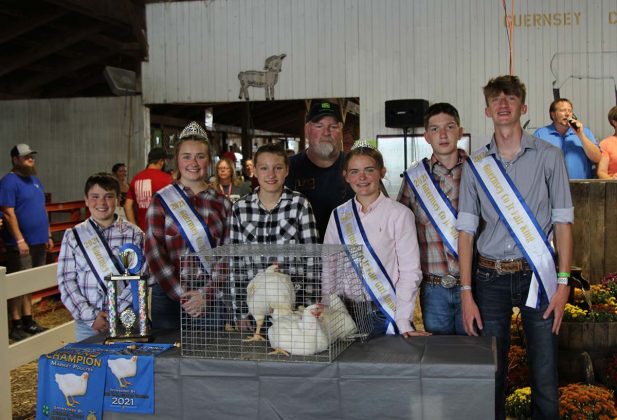 Grand Champion Chickens