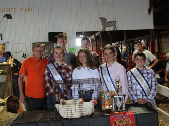 Reserve Champion Chickens