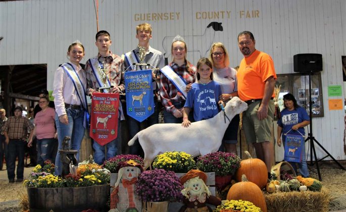 Reserve Champion Dairy Goat
