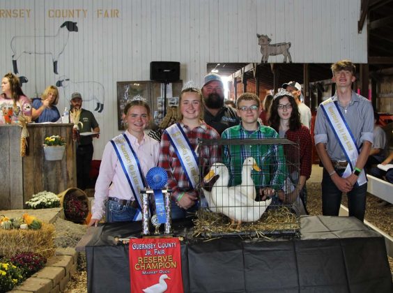 Reserve Champion Ducks