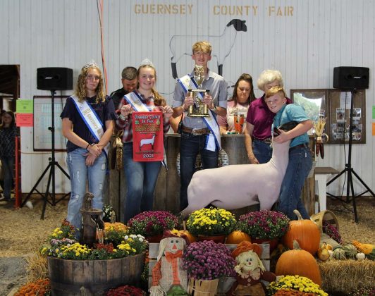 Reserve Champion Lamb