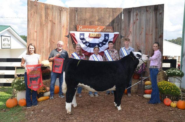 Reserve Champion Steer