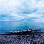 Glaciers carved out Ohio’s unique and specialized habitats Lake Erie