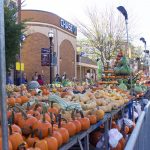 Pumpkins on display tables at a pumpkin show.