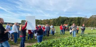 sheep day forage plots