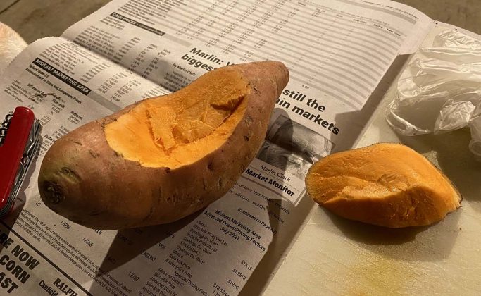 original jack-o-lantern step 1