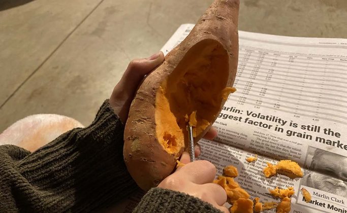 original jack-o-lantern step 2